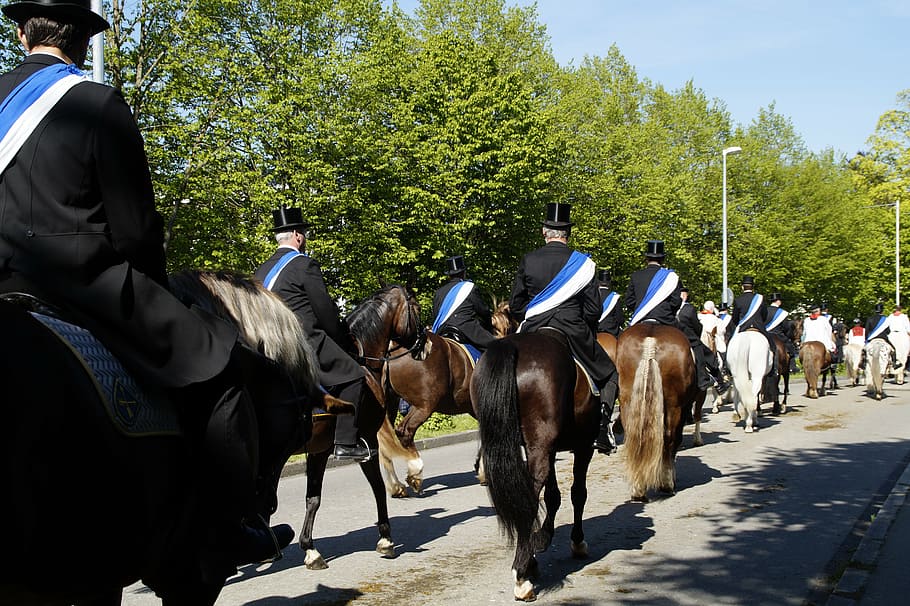 procession, equestrian procession, vineyard, blood ride, relic HD wallpaper