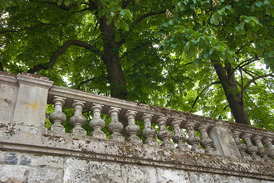 trees, wall, balcony, balustrade, plant, architecture, built structure HD wallpaper