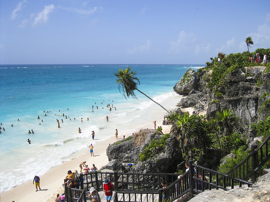 People on Cliff With Grass Trees Watching People on Sea Shore Swimming Walking Under Blue Clouds during Daytime HD wallpaper