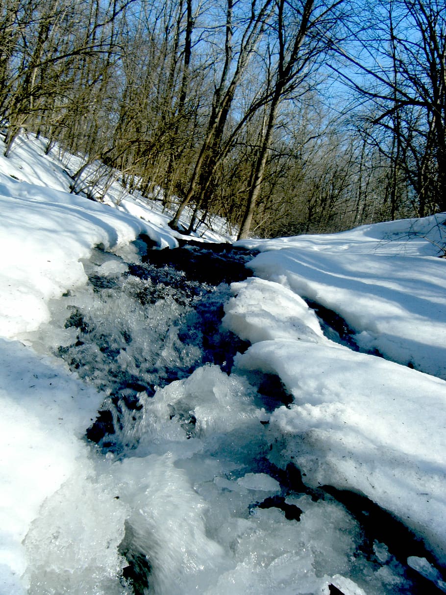Frozen, Winter, River, Water, Ice, snow, cold temperature, bare tree HD wallpaper