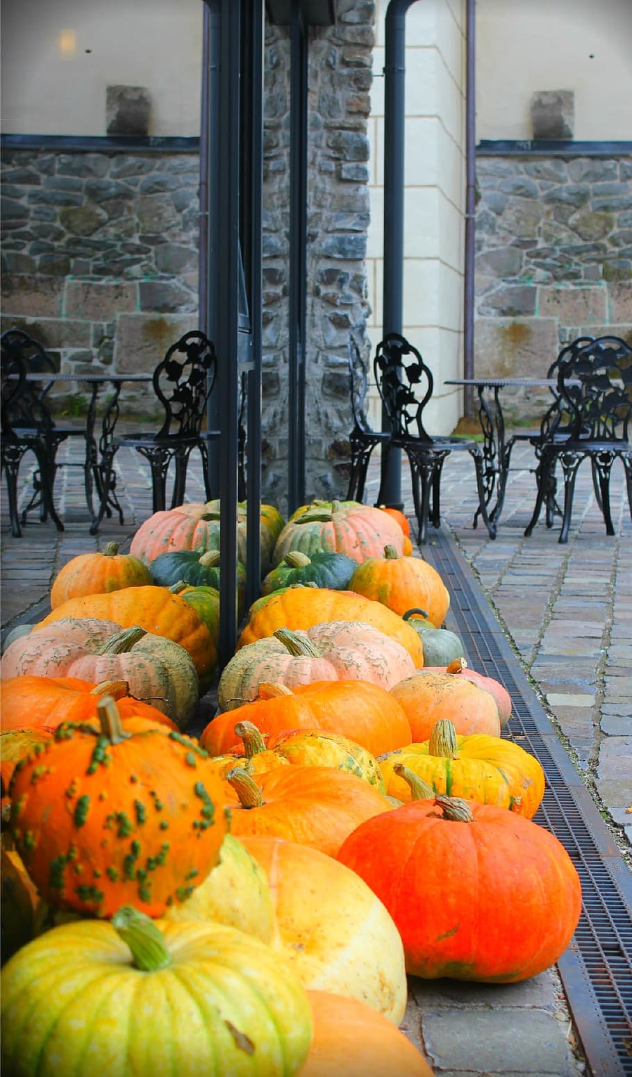 pumpkin, autumn, street, reflection, contrast, orange, glass HD wallpaper