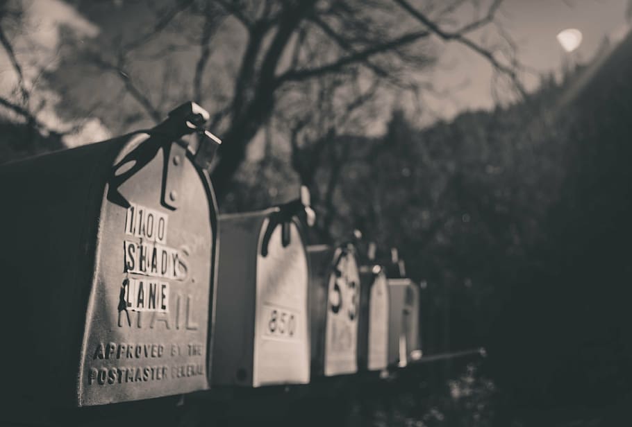 letter box, spooky, scary, ghost, tree, text, communication HD wallpaper