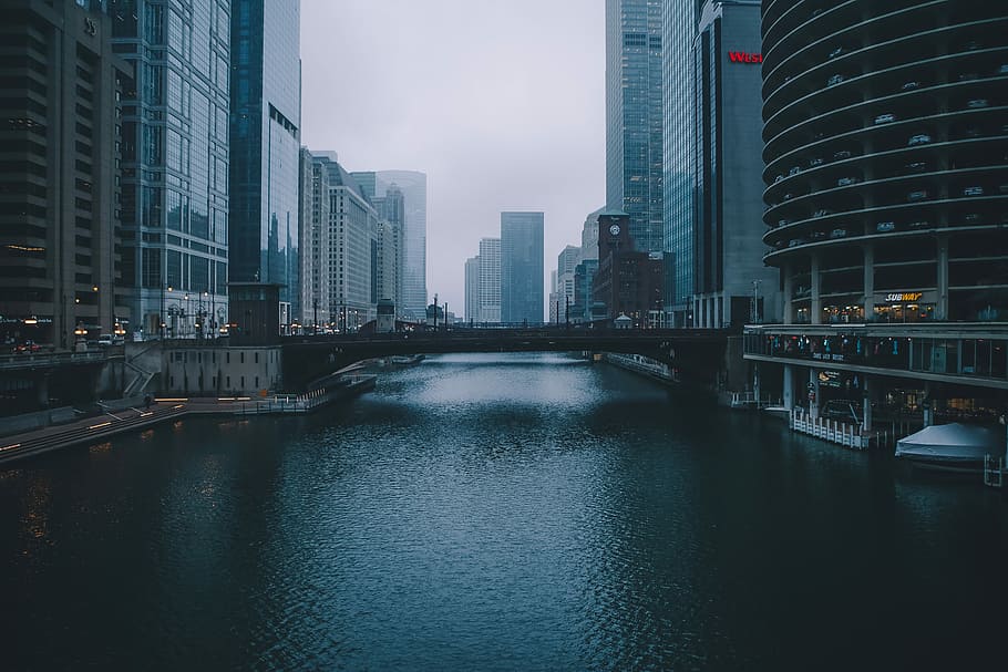 bridge between commercial buildings during daytime, focus photo of gray concrete bridge near high rise buildings HD wallpaper