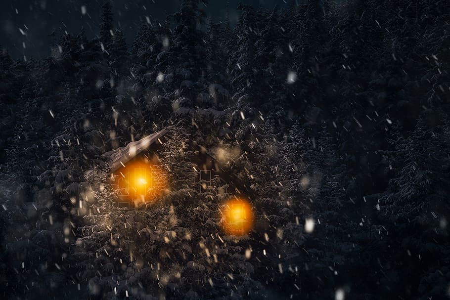 winter, landscape, night, dark, evening, snow, snowflakes, forest HD wallpaper