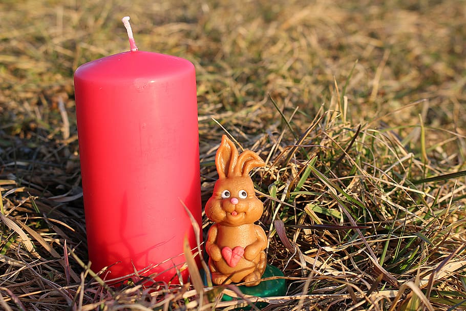 Easter Bunny, Candle, Holiday, no people, food and drink, grass HD wallpaper