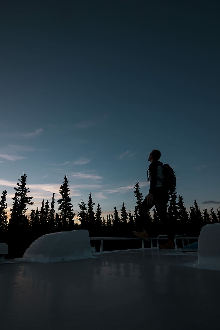 men looking at the sky, man standing near forest, person, tree HD wallpaper