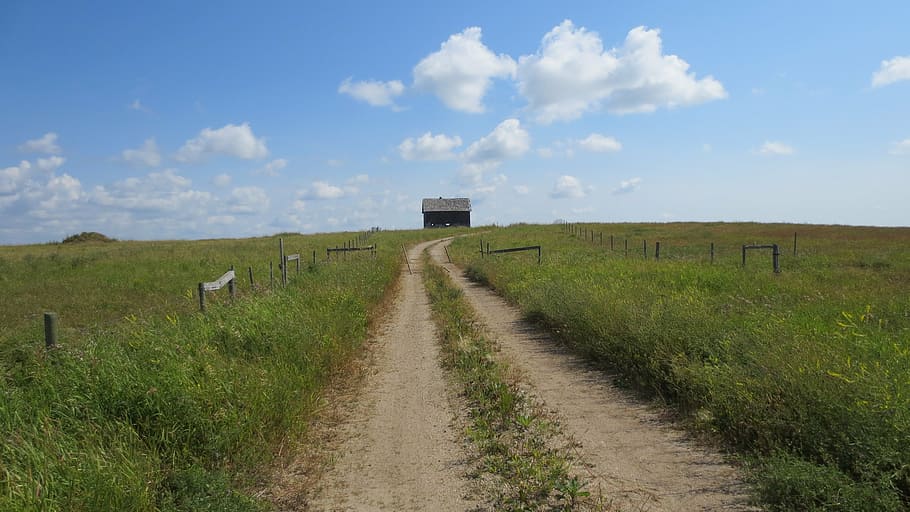 pathway with grass on the sides during daytime, prairie, shed, HD wallpaper