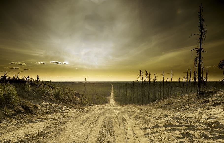 gray road in between trees, sand, sky, apocalypse, cloud, horizon HD wallpaper