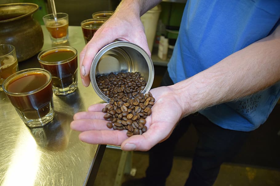 beans, coffee, brew, cupping, human Hand, men, food and drink HD wallpaper