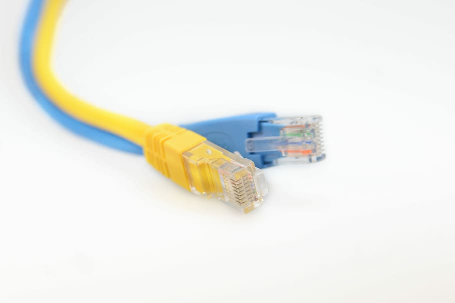 Network, Network Cables, network connector, patch cable, macro, HD wallpaper