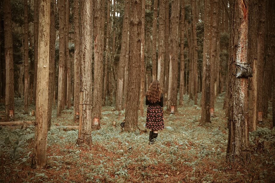 woman on walking forest, woman walking on grass surrounded by trees during daytime HD wallpaper