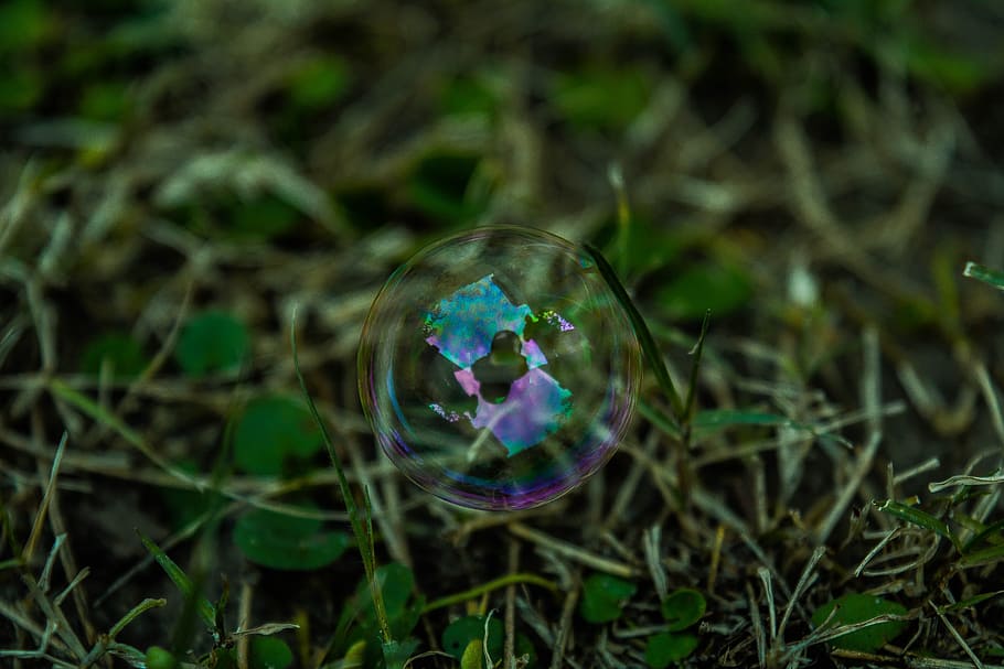 grass, plant, bubble, macro, nature, fragility, vulnerability HD wallpaper