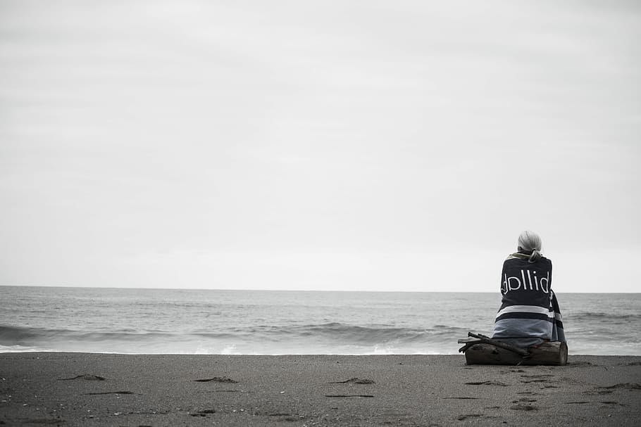 woman sitting near seashore during daytime, person sitting on driftwood along the shore HD wallpaper