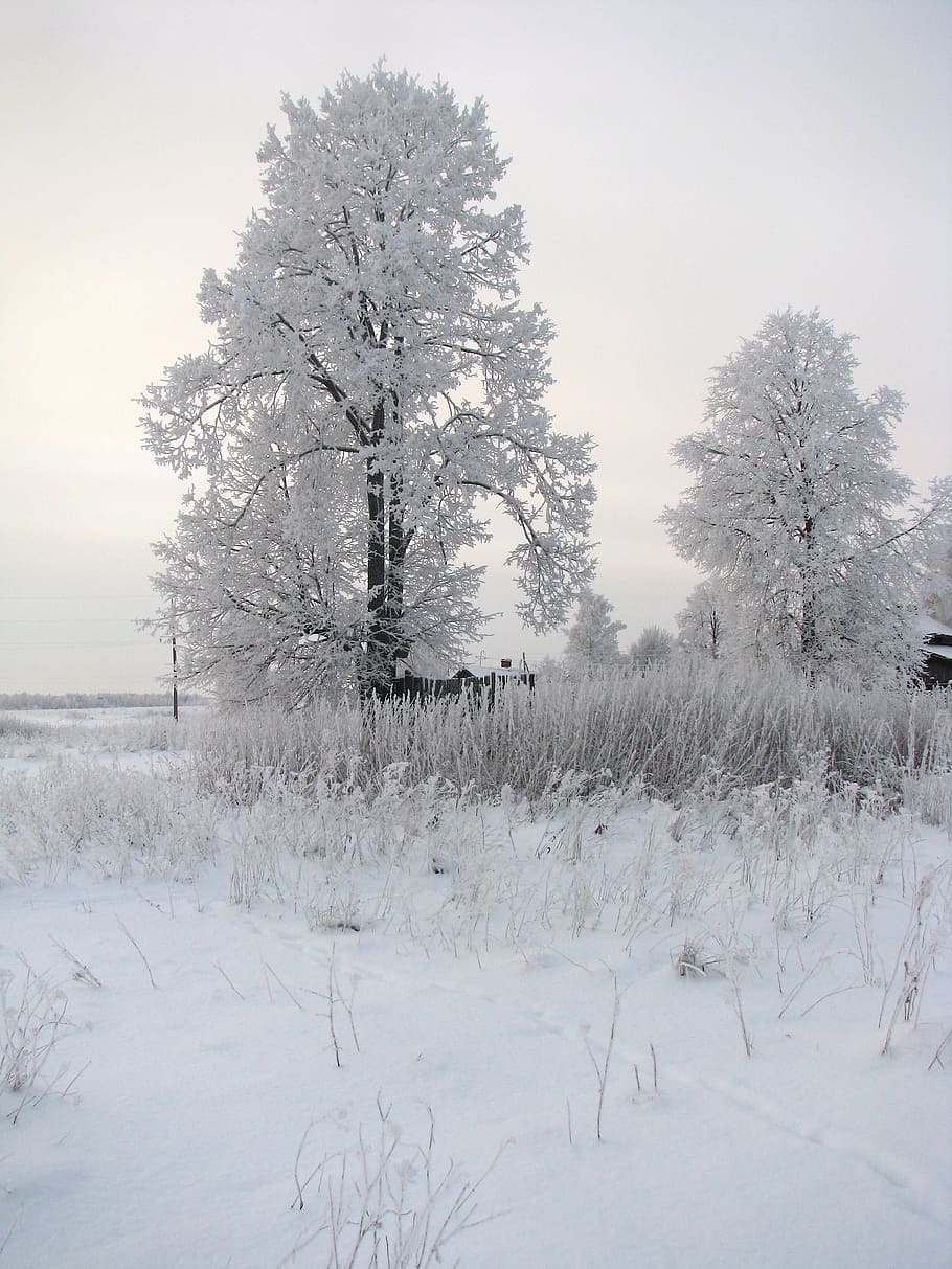 landscape, winter, snow, ice, sky, clouds, house, country, countryside HD wallpaper
