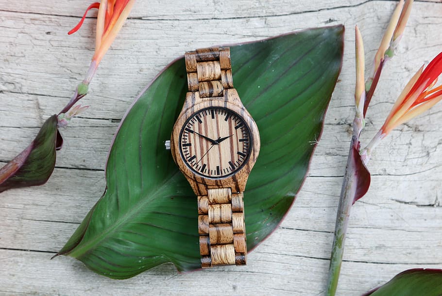 wood clock, leaf, time, plant part, wood - material, accuracy HD wallpaper