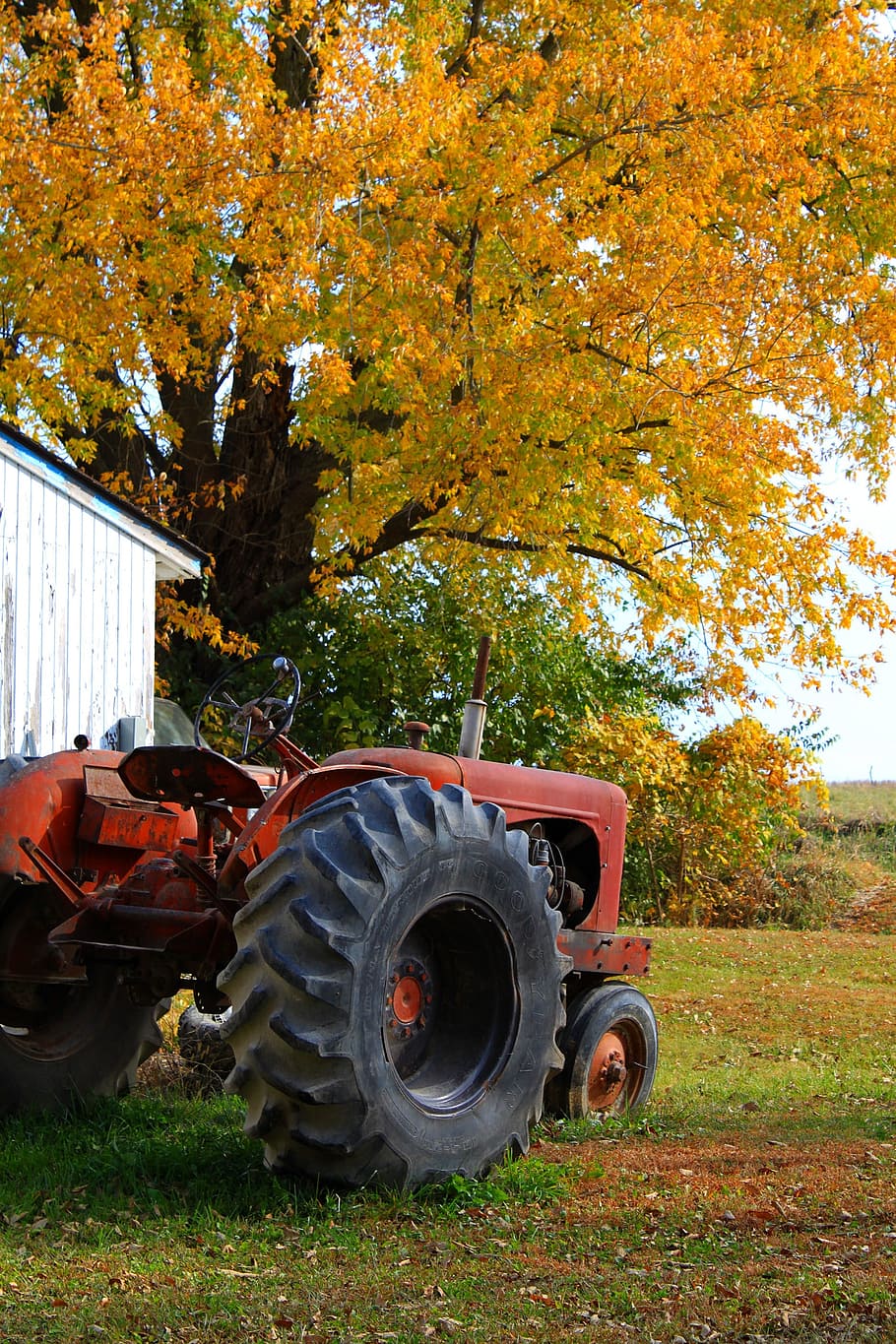 Tractor, Fall, Farm, Harvest, autumn, rural, nature, machinery HD wallpaper