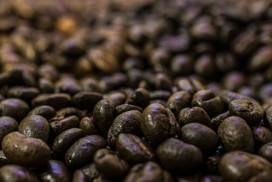 coffee, beans, coffee beans, espresso, coffee cup, roasting, HD wallpaper. 