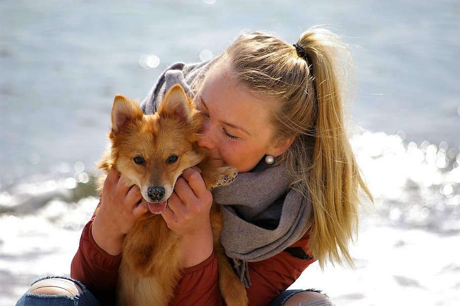 Hd Wallpaper Woman Hugging Finnish Spitz While Sitting Dog Tip Affinity Wallpaper Flare