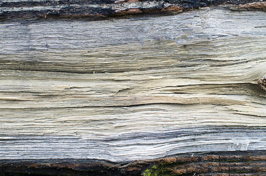 dřevo, abstraktní, pozadí, kůra, stromové kůry, stromy, HD wallpaper