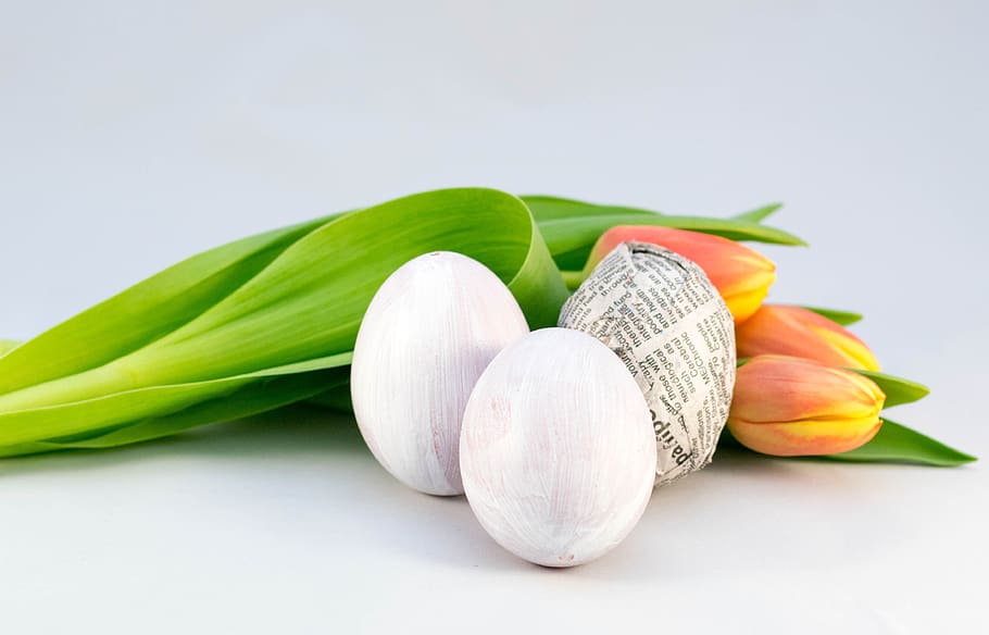 easter, nature, plant, freshness, easter eggs, easter decoration HD wallpaper