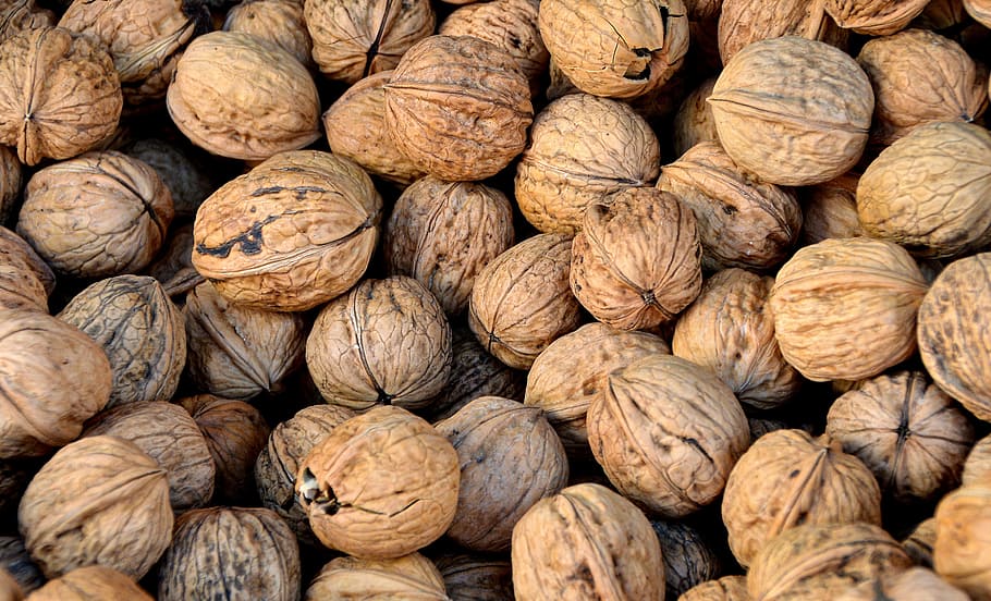 brown nut lot, walnut, nuts, teaser, left untreated, market HD wallpaper