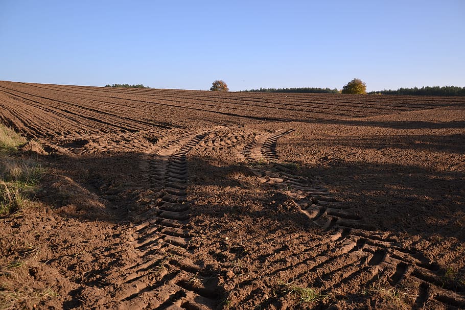field, traces, tractor, way, village, poland, nature, poland village HD wallpaper