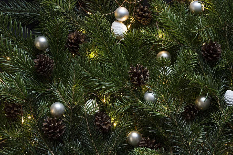green garlands macro photography, pinetree, christmas tree, pinecones, HD wallpaper