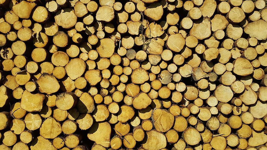 timber harvesting, nature, forest, full frame, large group of objects HD wallpaper