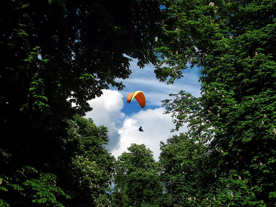 low angle view photo of person using parchute, paraglider, paragliding HD wallpaper
