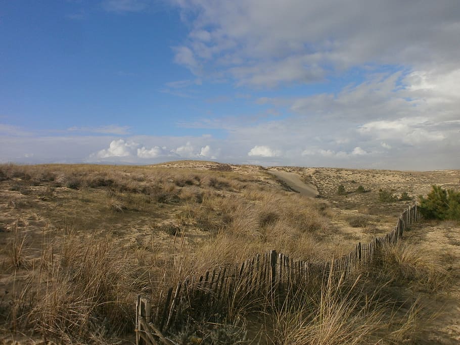 beach, dunes, sand dunes, sky, cloud - sky, land, environment HD wallpaper