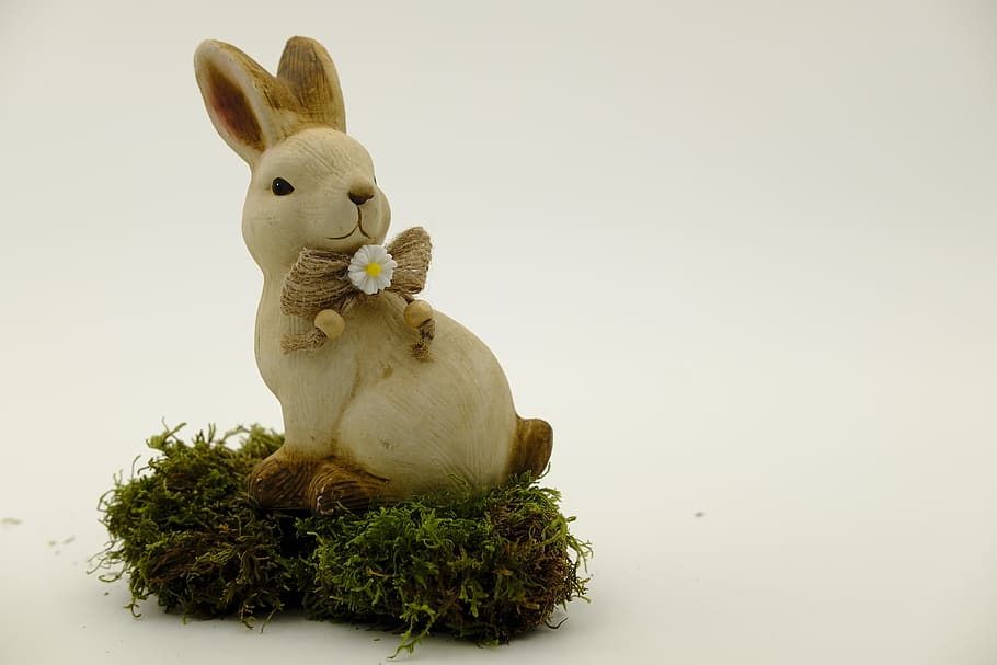 easter, easter bunny, easter celebration, hare, osterkarte HD wallpaper