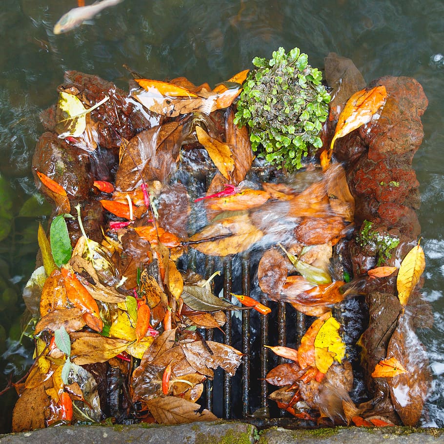 leaves, drain, blocked, constipation, water, grid, colorful HD wallpaper
