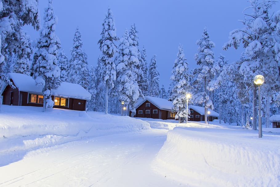 three brown houses on snow field, lapland, winter, wintry, finland