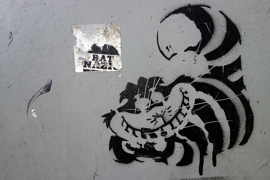 Graffiti, Cheshire Cat, Image, artwork, drawing, animal, artists, HD wallpaper