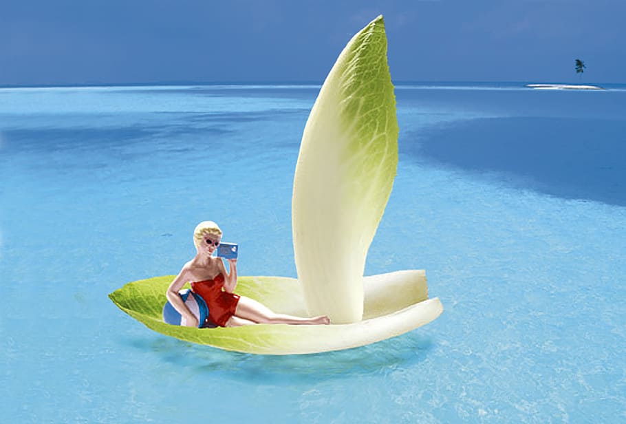 lettuce floating on body of water, vegetables, chicory, boat