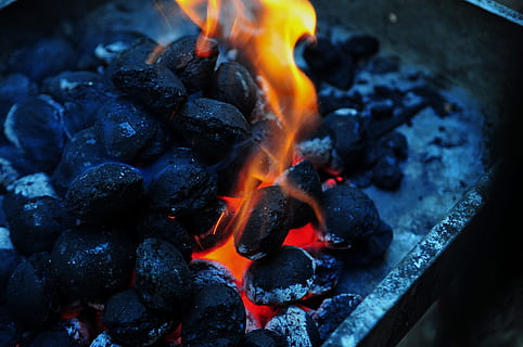 charcoal burning on fire, flame, barbecue, barbeque, briquette HD wallpaper
