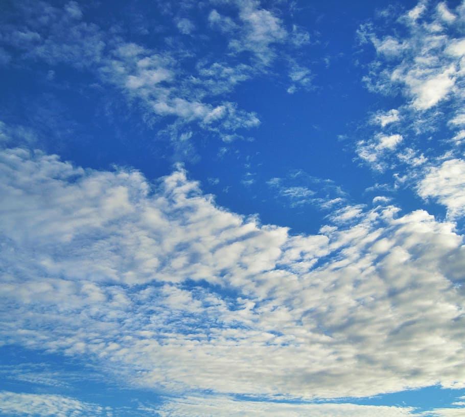 sky, blue, vivid, cloud, flocky, massed, cloud - sky, beauty in nature HD wallpaper
