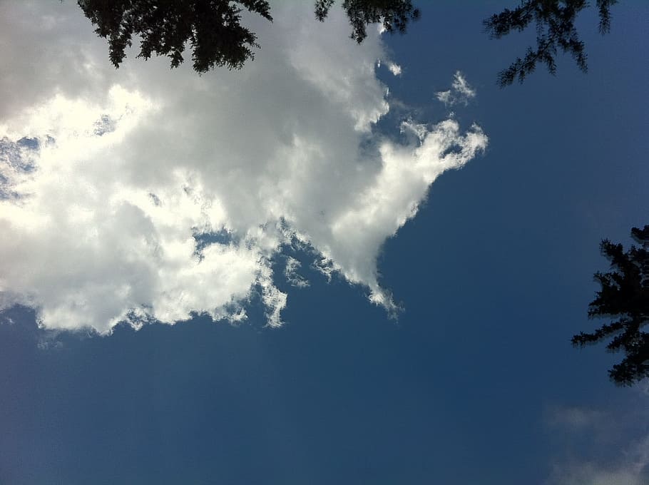Tree, Clouds, Branches, Frame, trees, sky, scene, winter, cloud - sky HD wallpaper