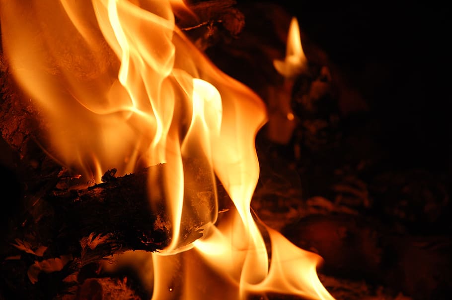 fire, flames, macro, burning, heat - temperature, fire - natural phenomenon HD wallpaper