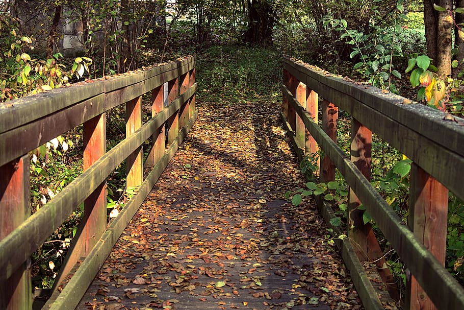 HD wallpaper: forest bridge, railings, wooden, park, old, autumn, beams,  foliage | Wallpaper Flare