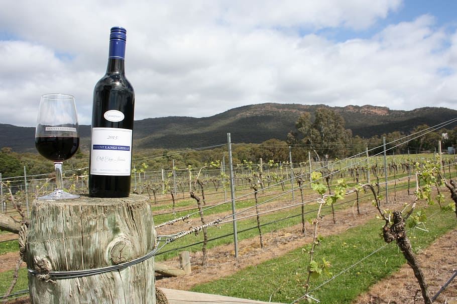 Wine, Grampians, Vineyard, Australia, country, countryside, HD wallpaper