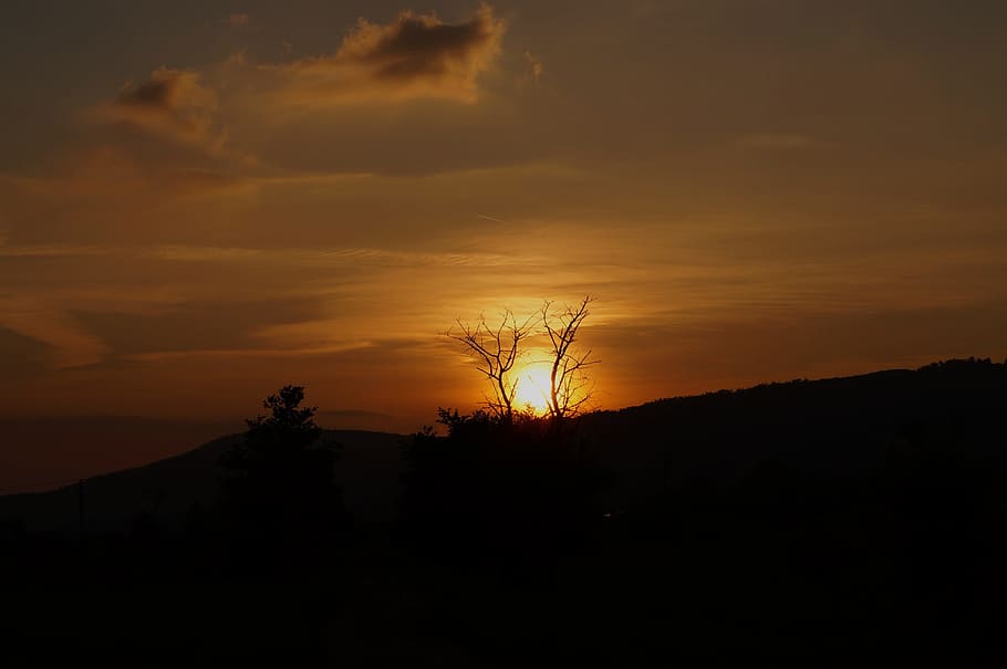 Sunset, Wood, Light, Mood, Dusk, sky, branches, lights, nature HD wallpaper