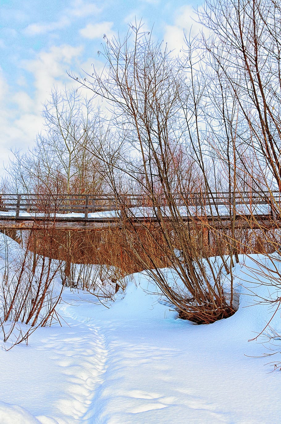 winter, bridge, river, landscape, snow, ice, tree, cold, trees HD wallpaper