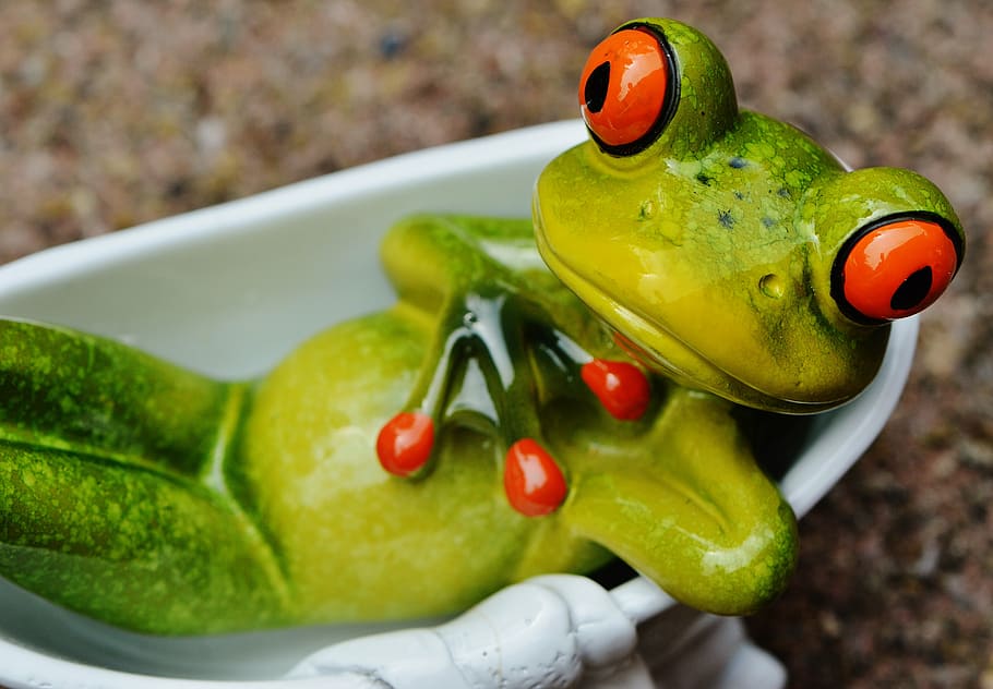 frog, funny, bath, cute, concerns, relaxed, figure, sweet, food HD wallpaper