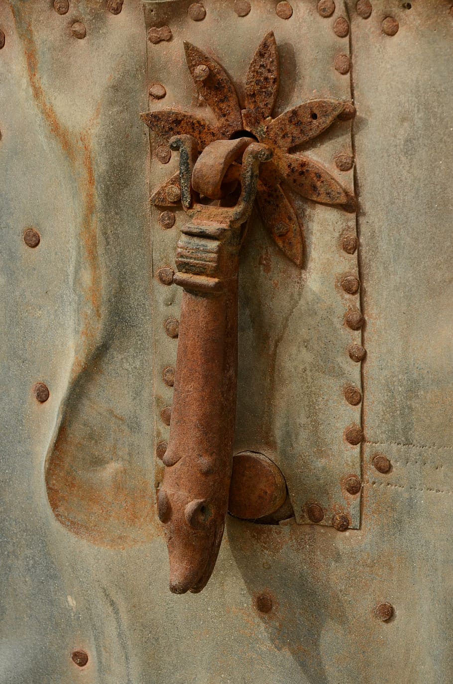 knocker, door, door knocker, rust, metal, throb, entrance, lliber HD wallpaper