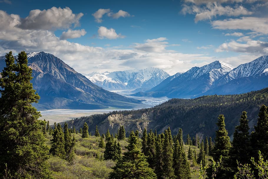 aerial photography of green forest, clouds, landscape, mountain range HD wallpaper