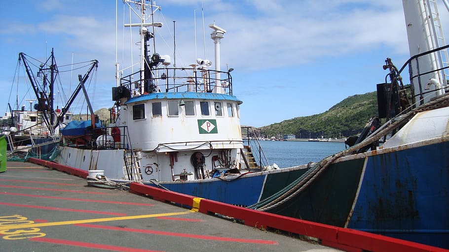 ship, docked, harbour, nautical vessel, transportation, water HD wallpaper