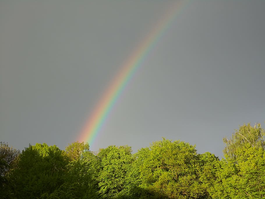 rainbow, sun, weather, nature, outdoors, blue, tree, sky, backgrounds HD wallpaper