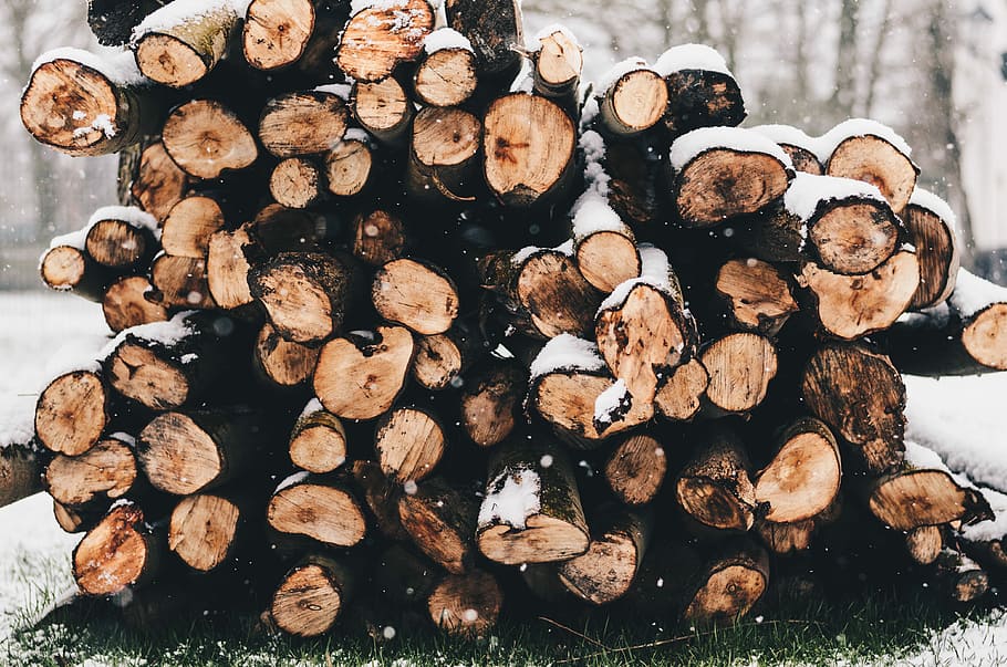 selective focus photography of firewood on snow covered grass, focus photography of pile of wood logs HD wallpaper