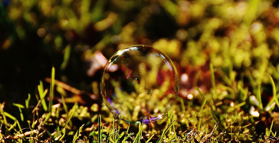 soap bubble, colorful, meadow, grass, balls, soapy water, make soap bubbles HD wallpaper